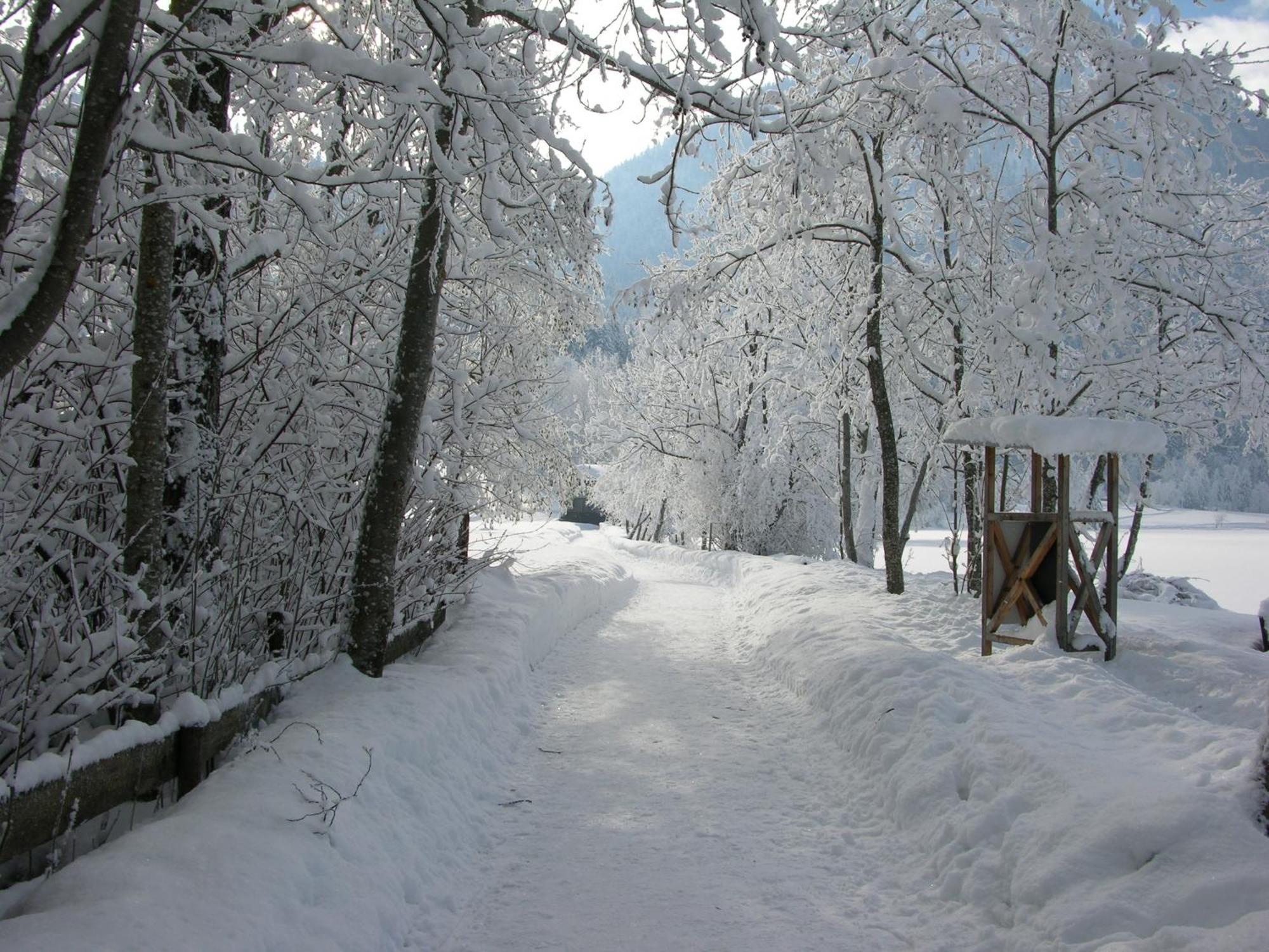 Haus Seeblick Am See Thiersee Exteriör bild